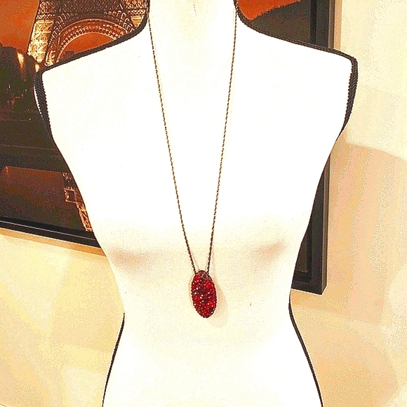 Alexis Bittar Large Pendant Necklace. 28" - Picture 5 of 7